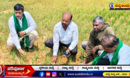 ಸಿದ್ದಾಪುರ ತಾಲೂಕನ್ನು ಬರಪೀಡಿತ ಎಂದು ಘೋಷಿಸಿ : ಬಿಜೆಪಿ ಆಗ್ರಹ