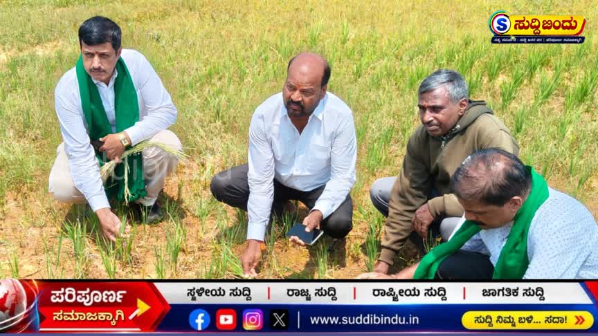 ಸಿದ್ದಾಪುರ ತಾಲೂಕನ್ನು ಬರಪೀಡಿತ ಎಂದು ಘೋಷಿಸಿ : ಬಿಜೆಪಿ ಆಗ್ರಹ